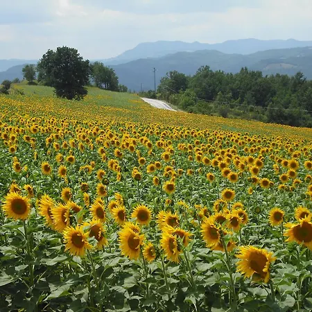 Apartment Cozy 2-bed Apartment, Petrella *