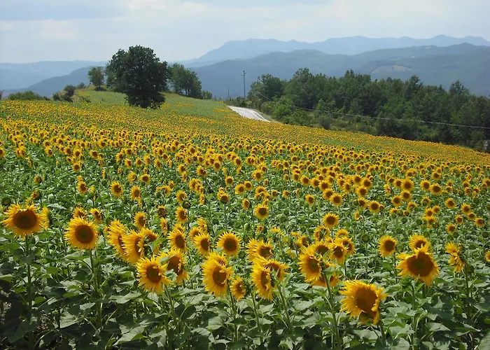 Daire Cozy 2-bed Apartment, Petrella *